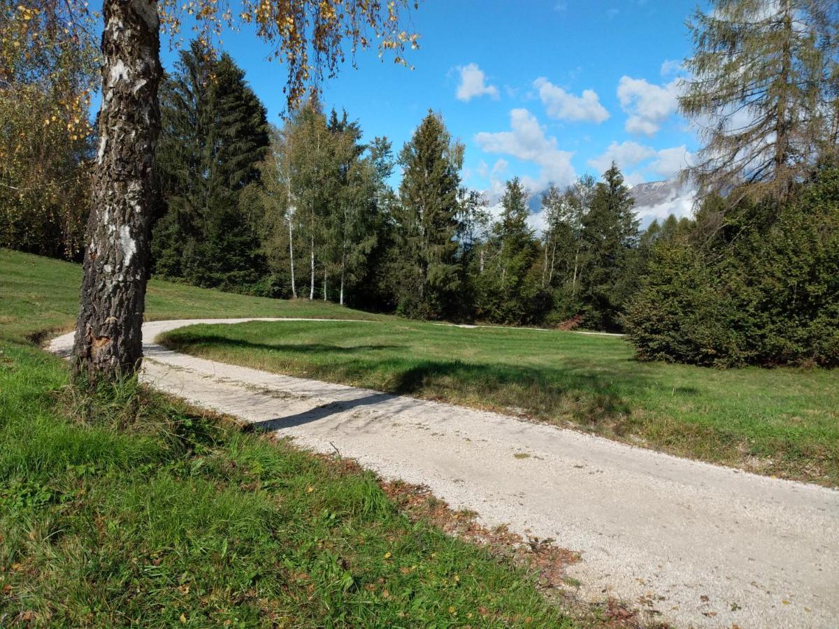 Willa Al Salt Belluno Zewnętrze zdjęcie